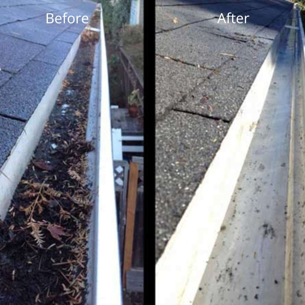 Gutter Cleaning
