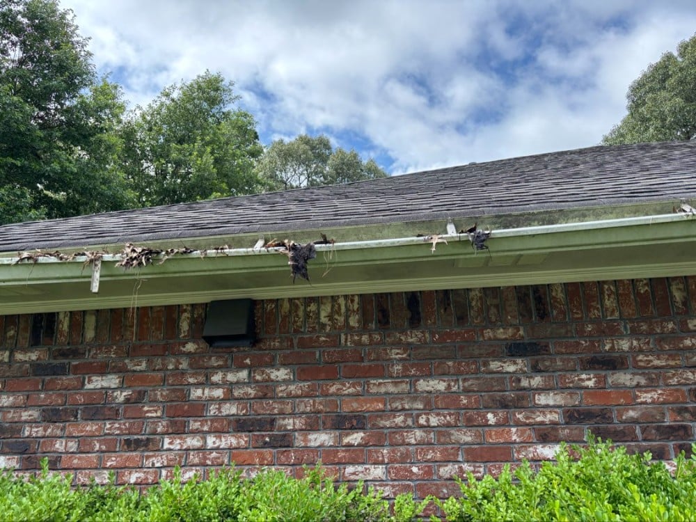 Gutter cleaning  - Before