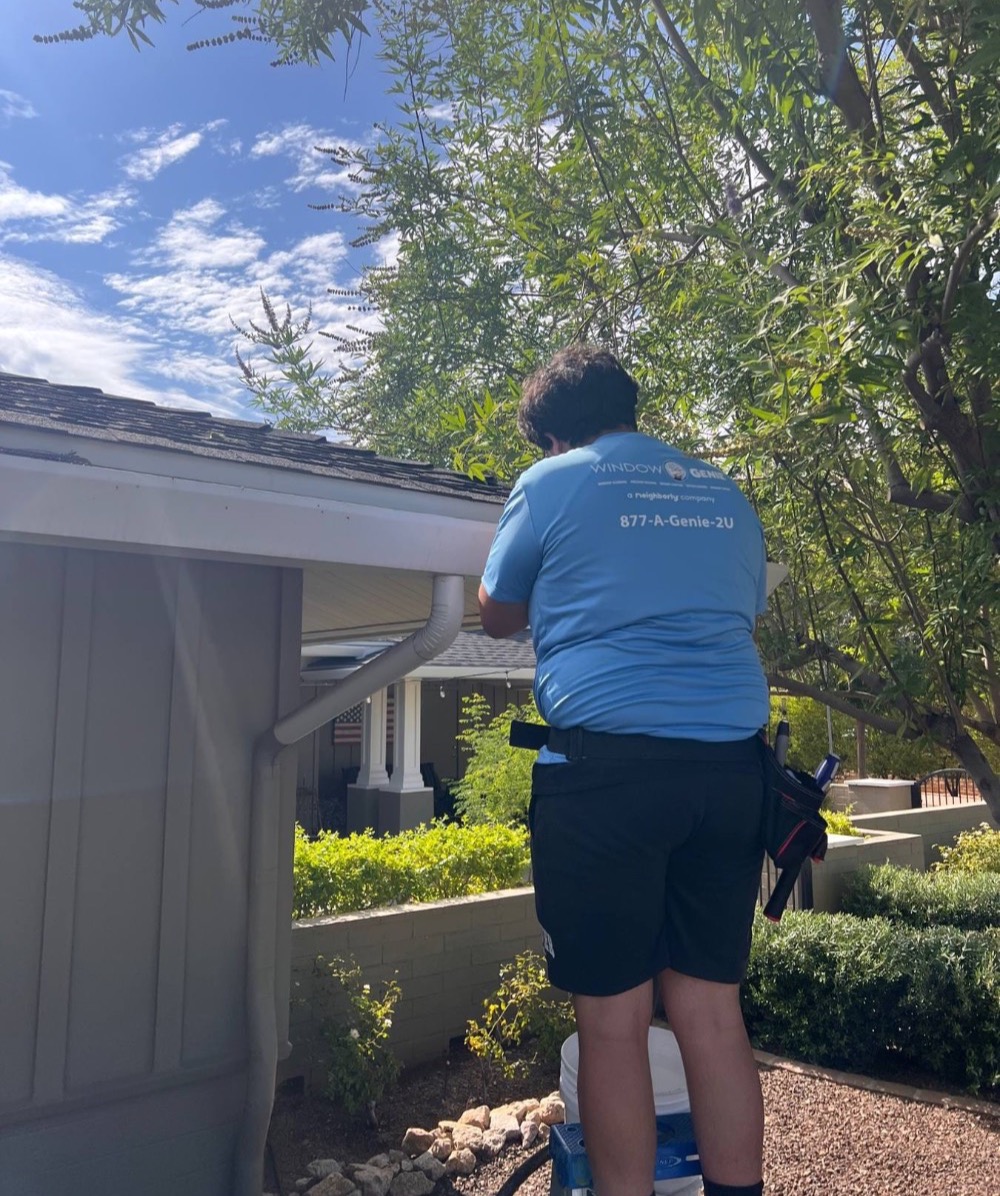 Gutter Cleaning