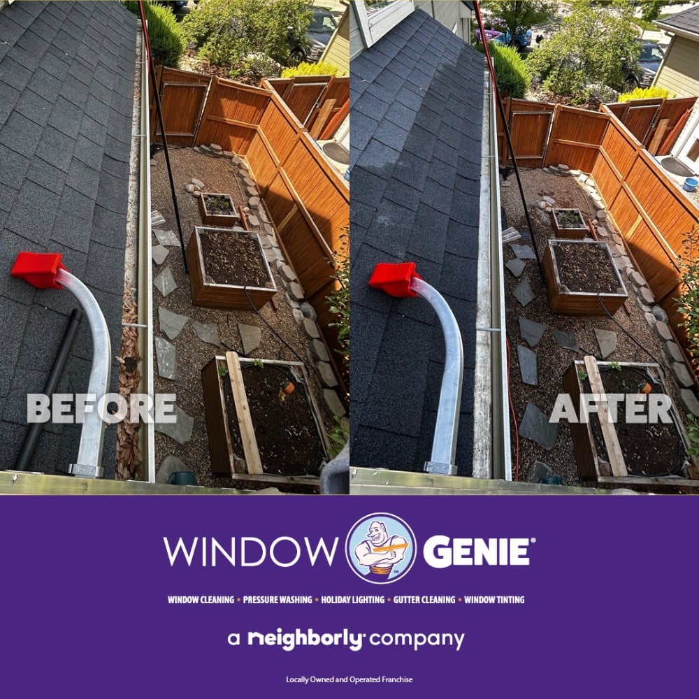 How much debris is in your gutters?