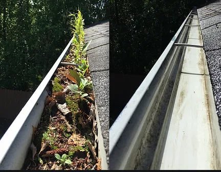Clean Gutters are essential to proper rainwater management and vital in protecting your home from water damage.
