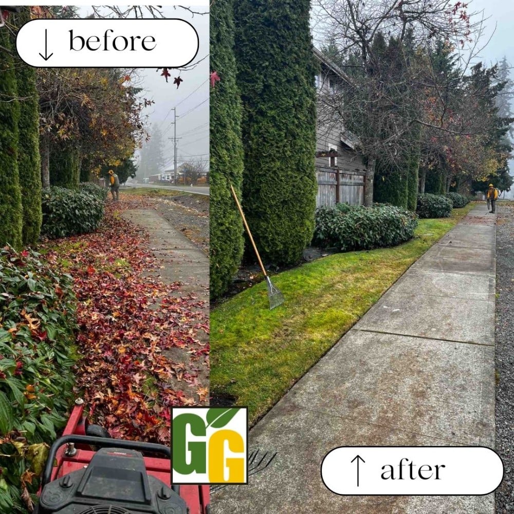 Seasonal clean-up service done by The Grounds Guys.