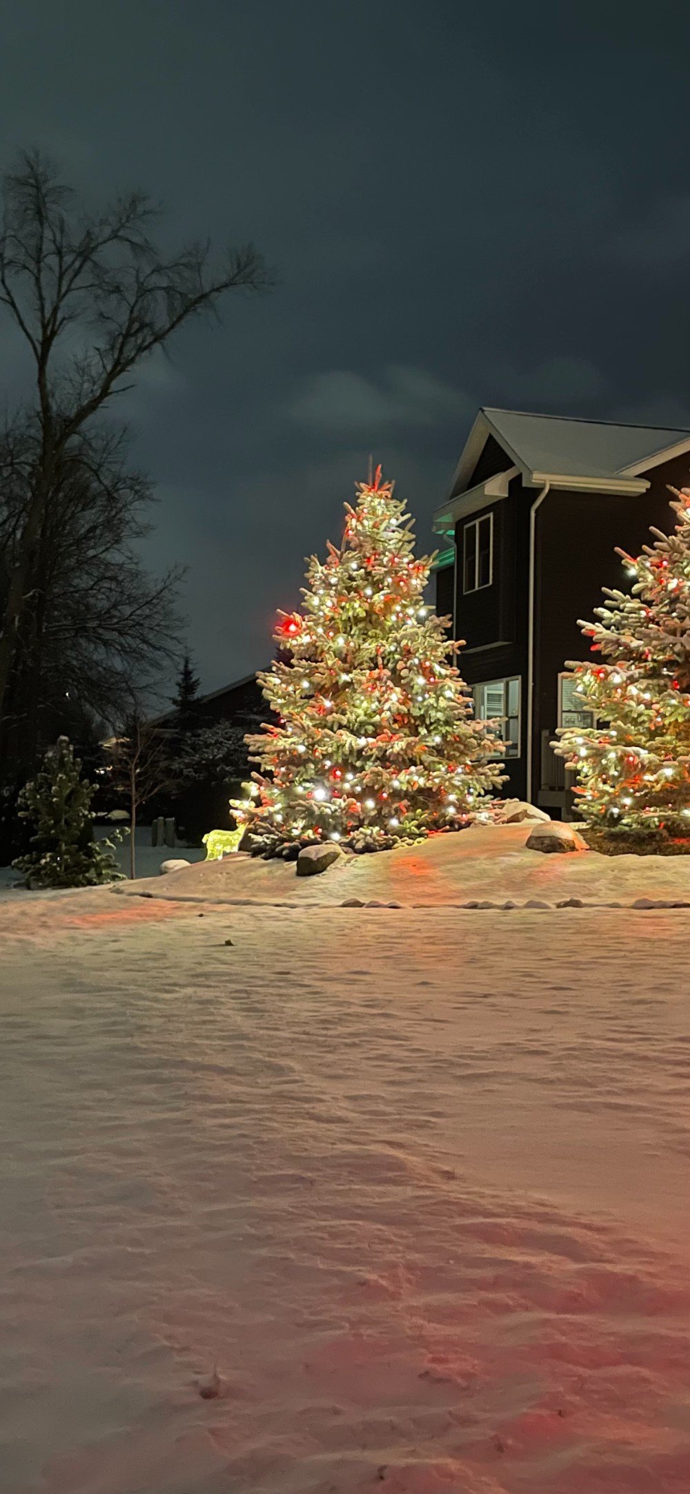 Holiday Light Installation