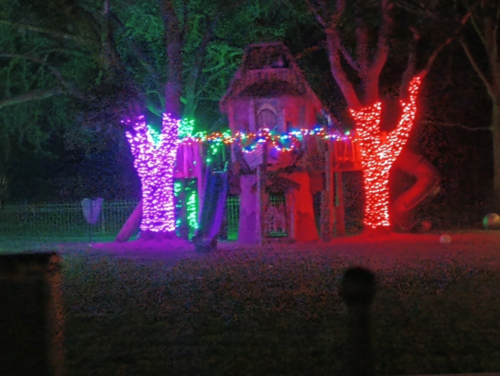 Tree House Lighting