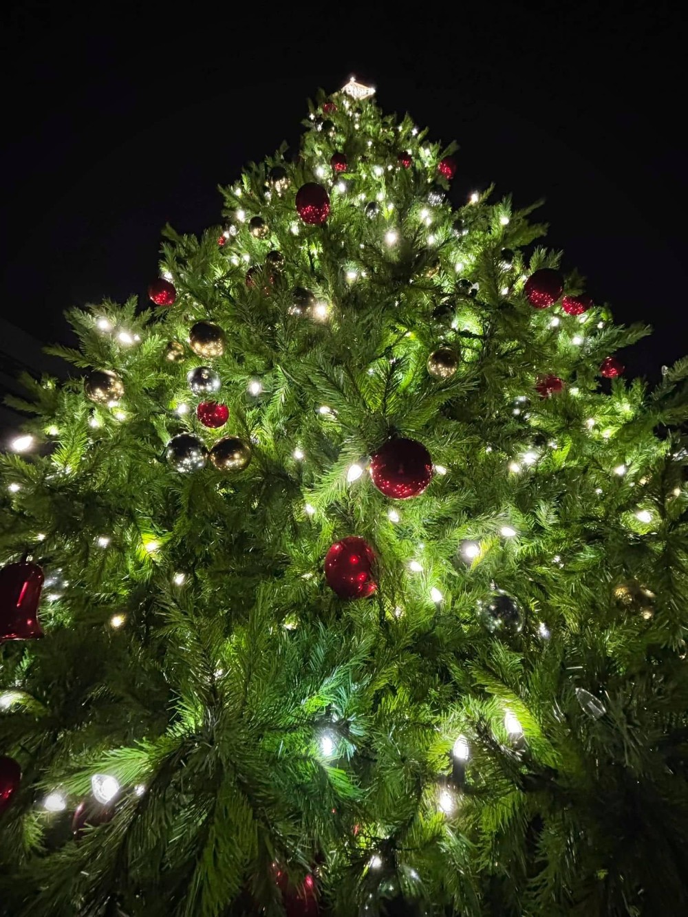 Holiday Lighting