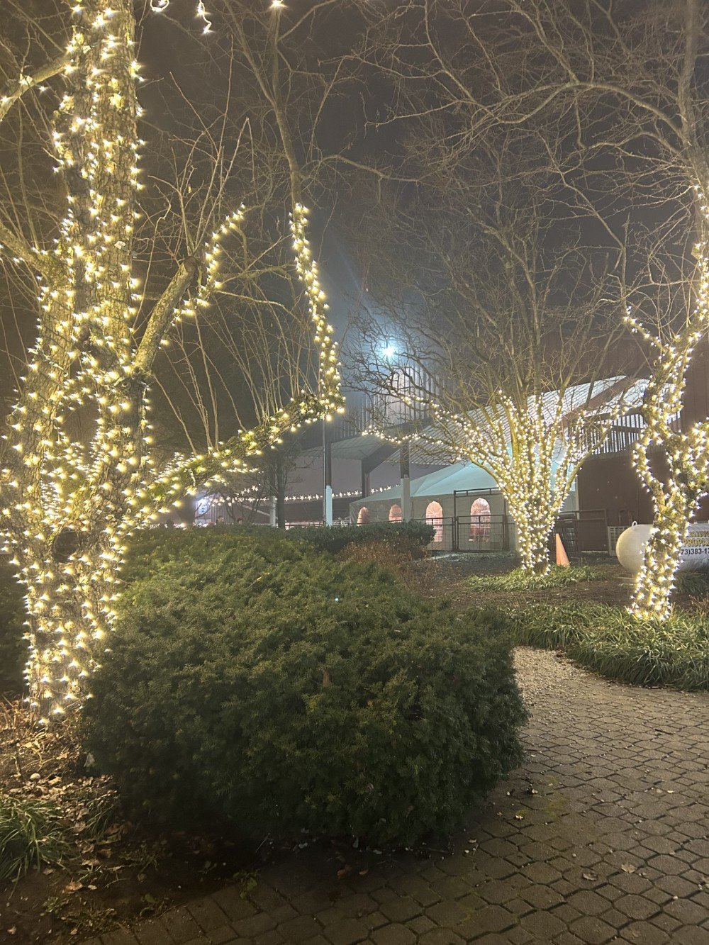 Holiday Lights