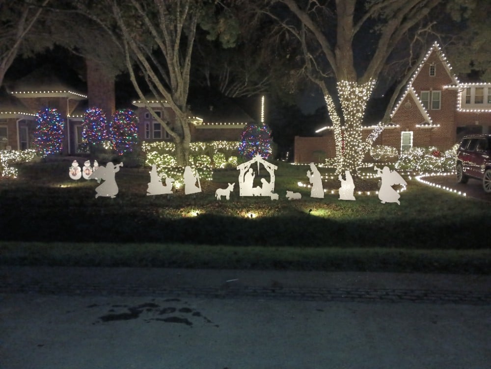 Holiday Lights