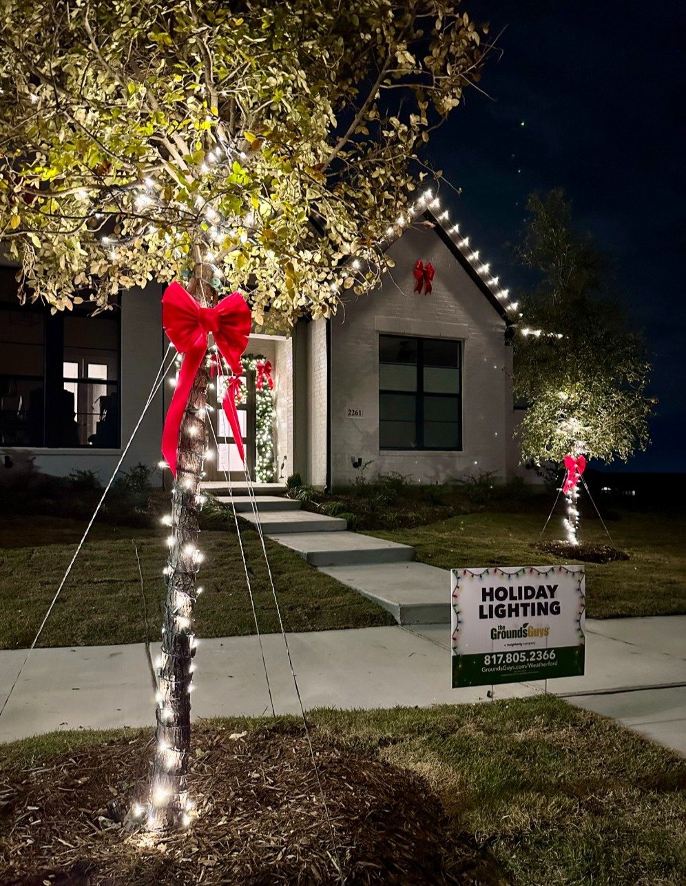 Holiday Lights Aledo