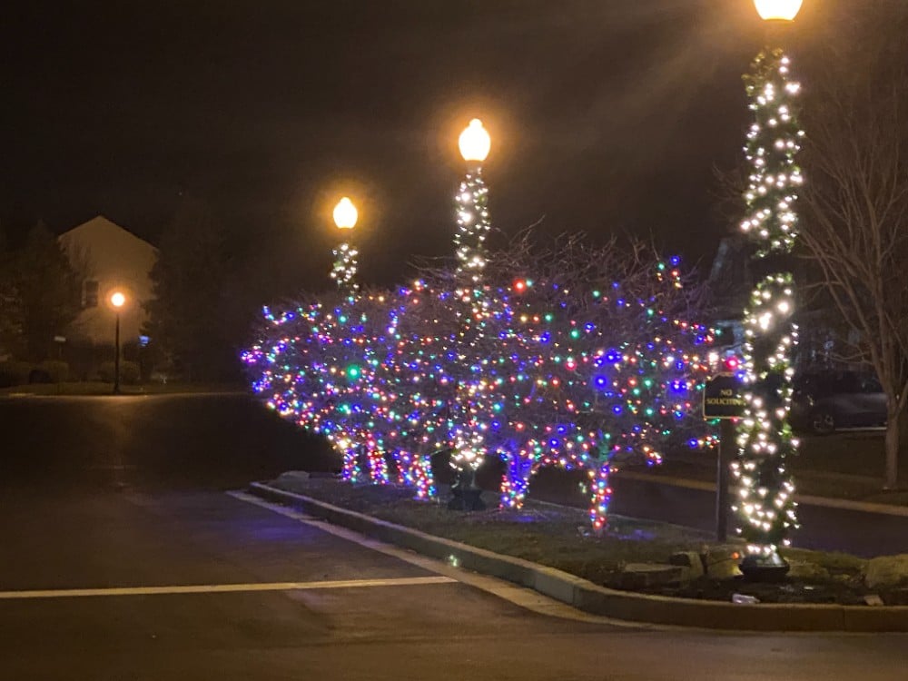 Holiday Tree Lighting