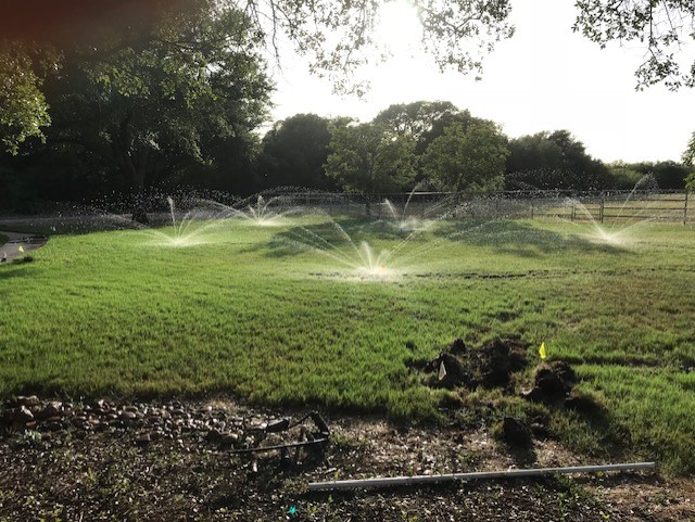 Irrigation lawn
