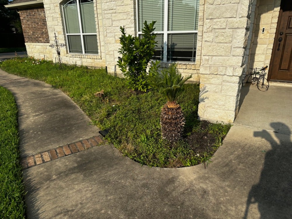 Landscape Install #1 Before