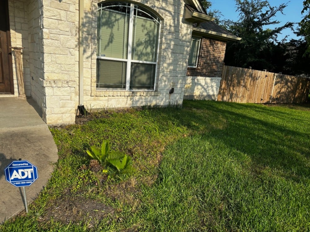 Landscape Install #2 - Before