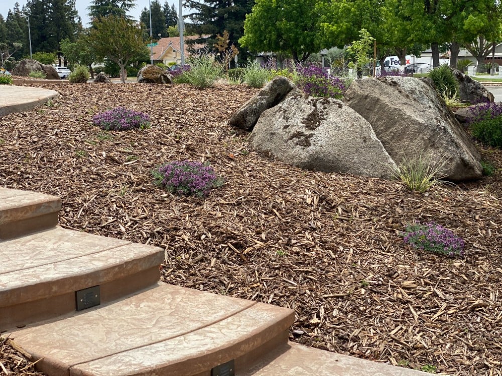 Landscape refresh in North Fresno-Madera