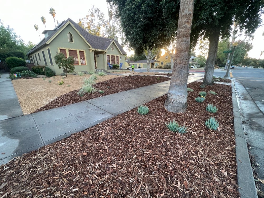 Landscape Install in North Fresno-Madera