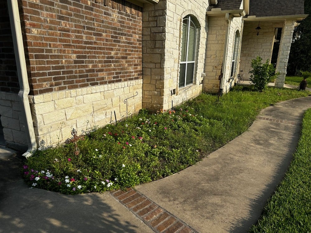 Landscape Install #3 - Before