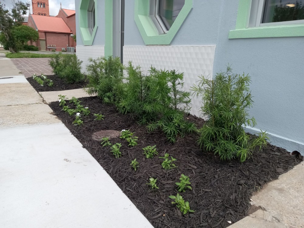 Landscape Installation