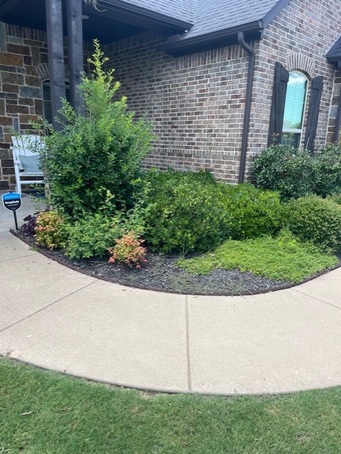 Shrub bed
