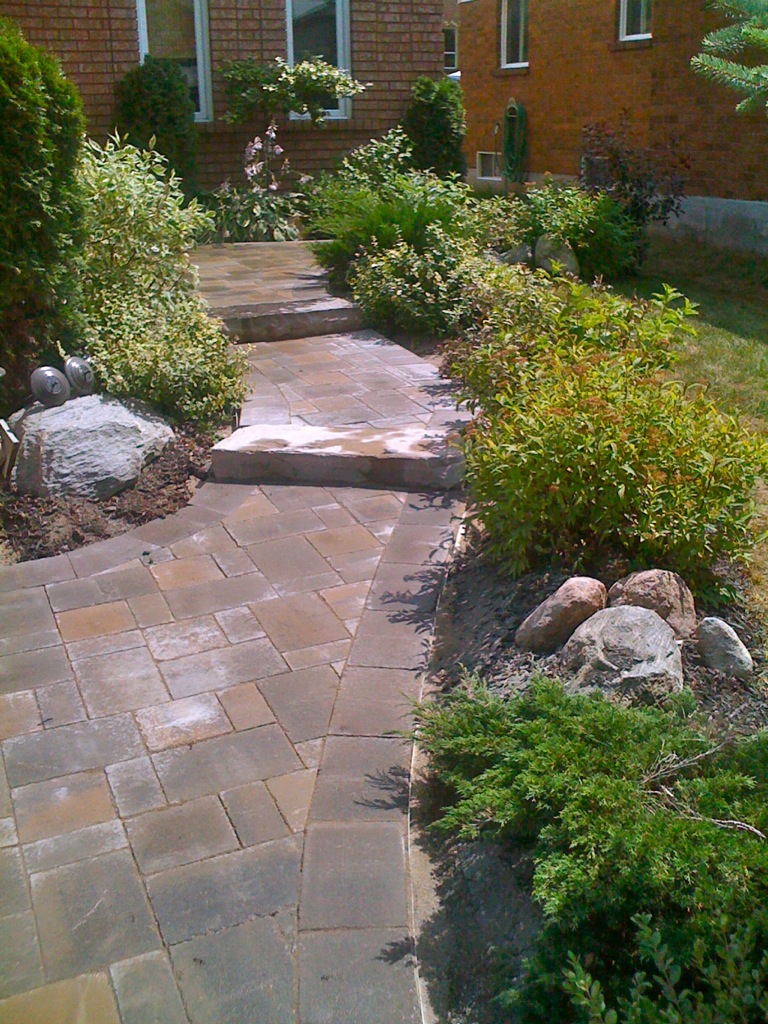Landscaping along a pathway