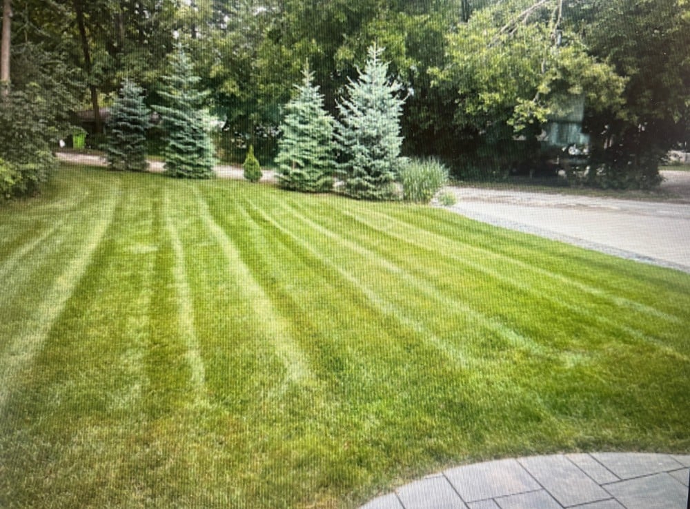 Lawn Care from 5 Start Google Reviews
