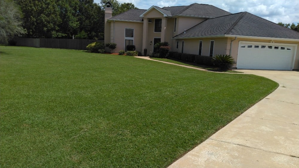 Lawn Maintenance Services