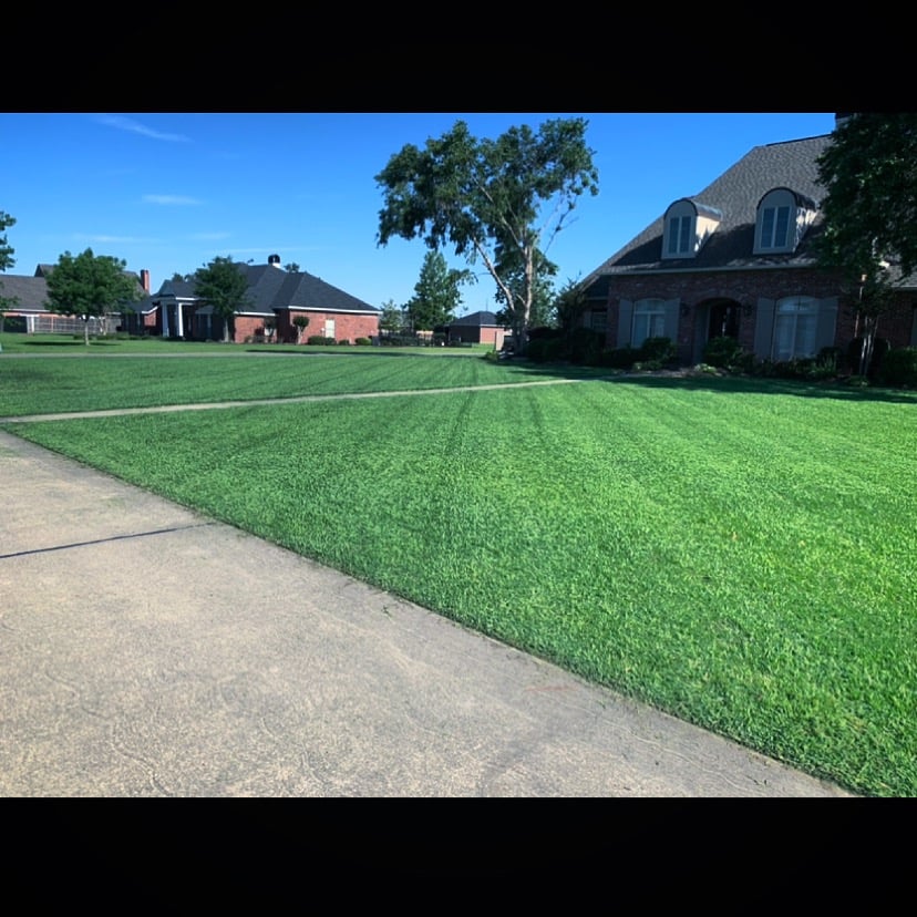 Lawn Maintenance Services