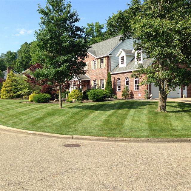 Lawn and Home Side view