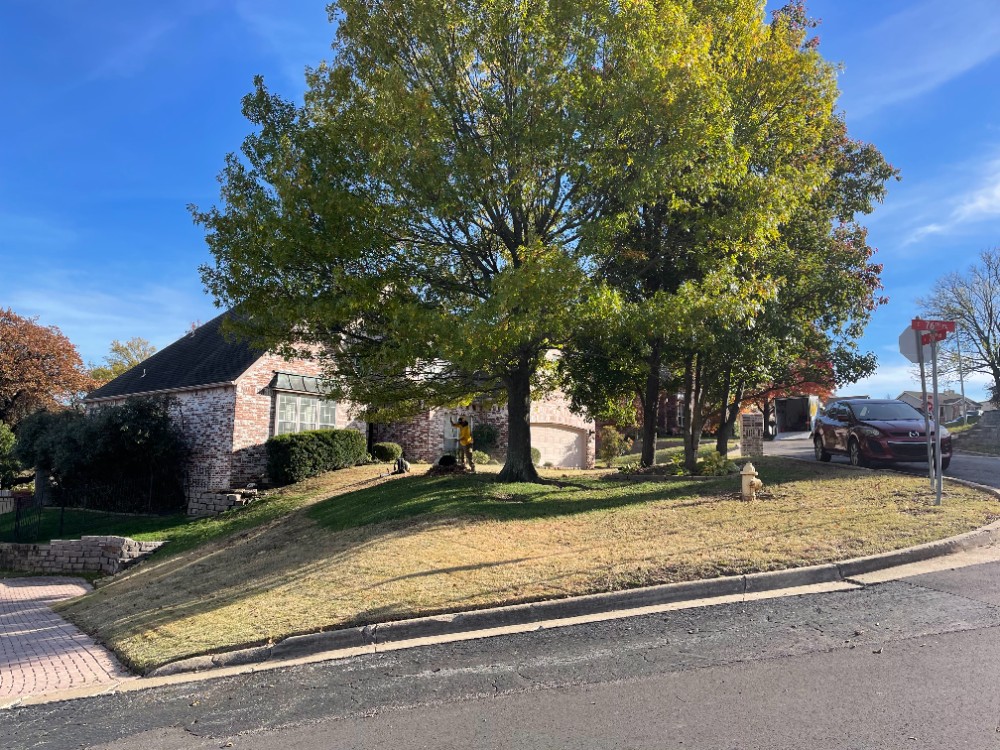 Leaf Cleanup in Southwest Tulsa