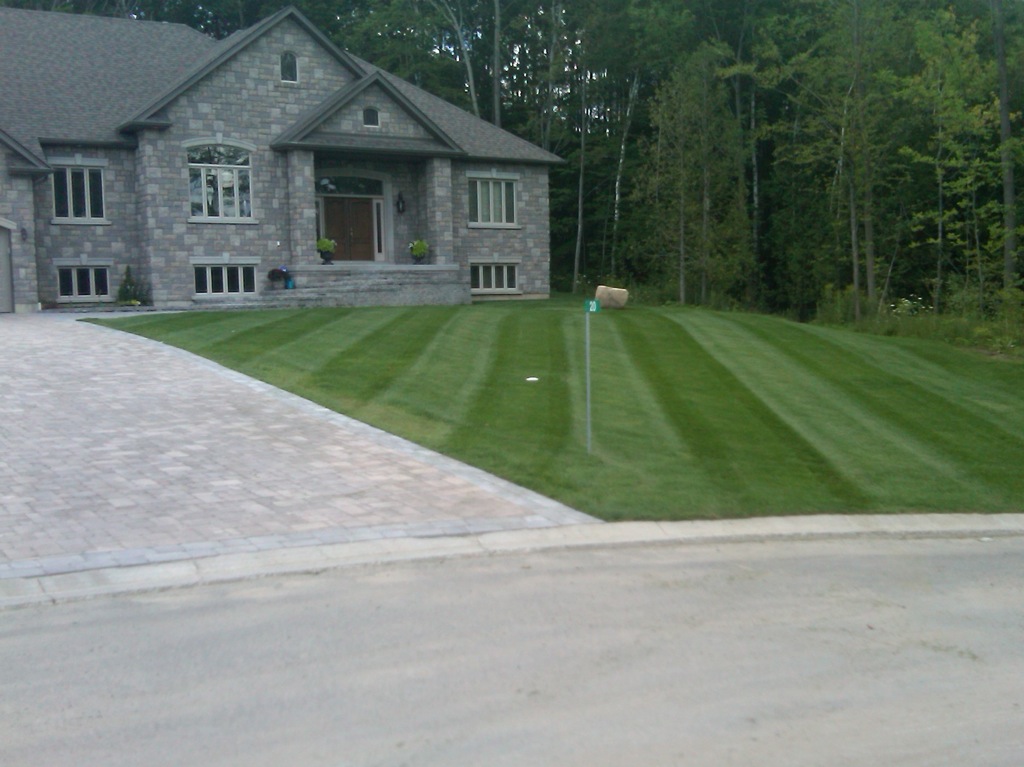 Mowed General front lawn