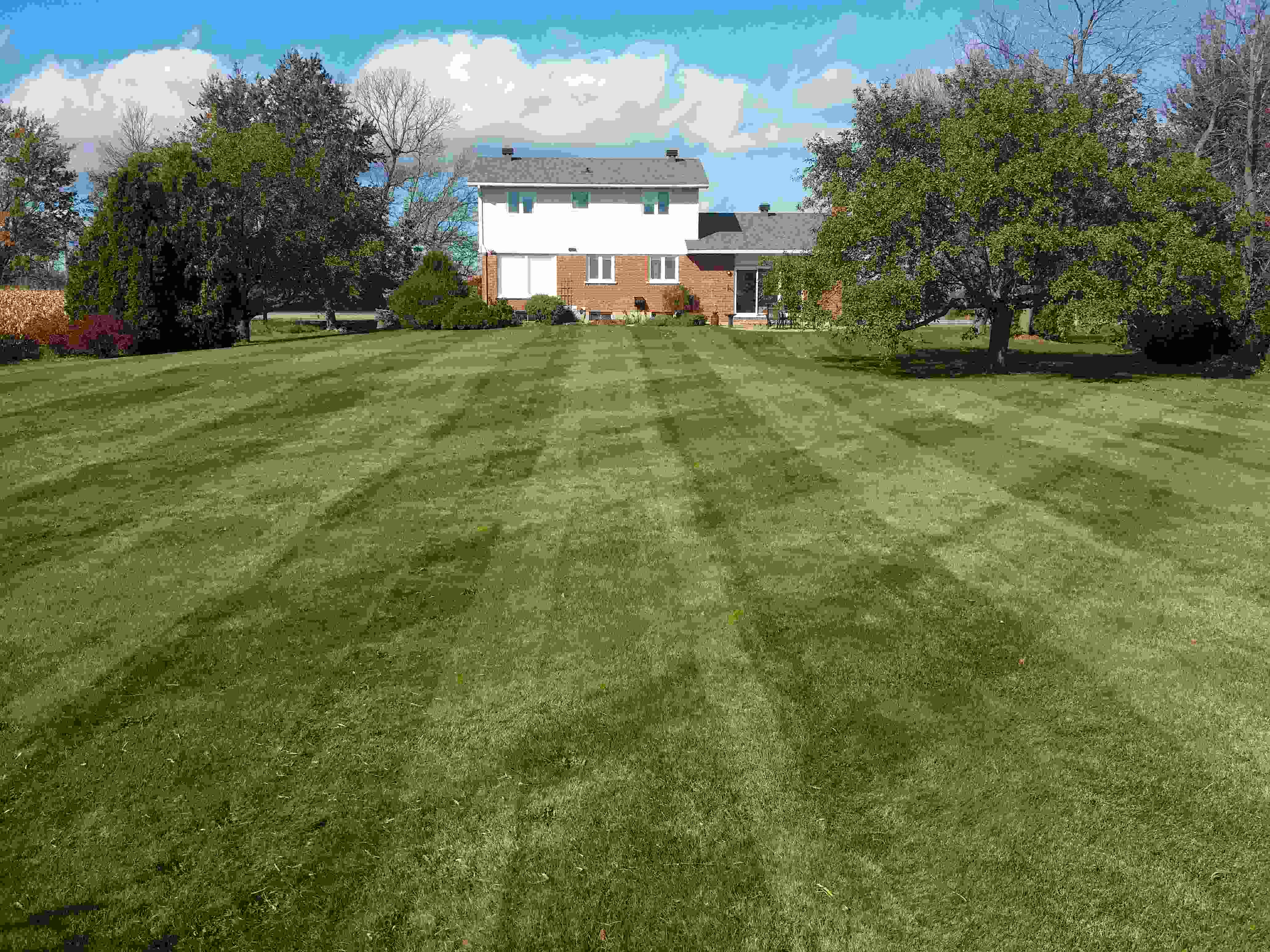 Mowed Lawn