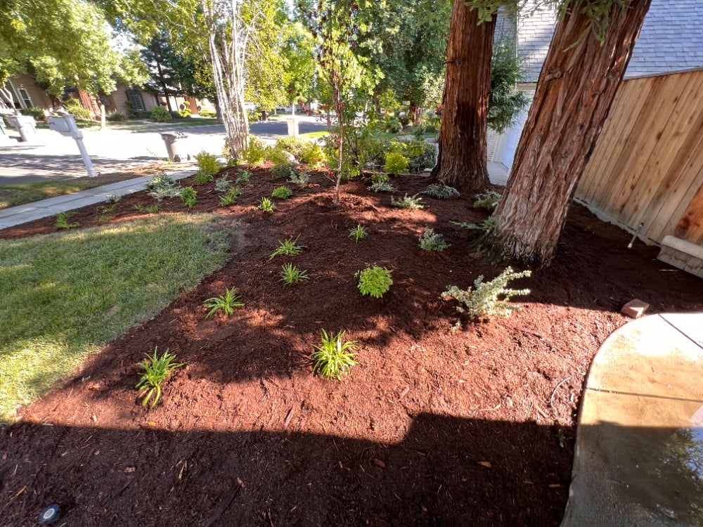 Bed refresh in North Fresno-Madera