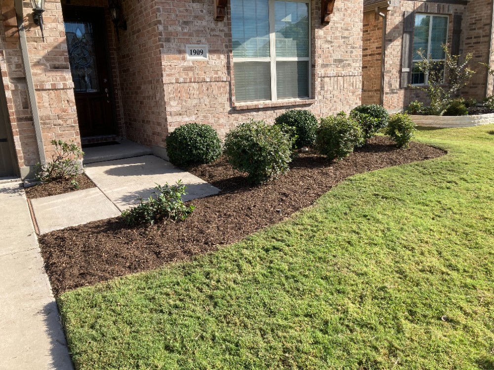 Mulch Installation in Prosper