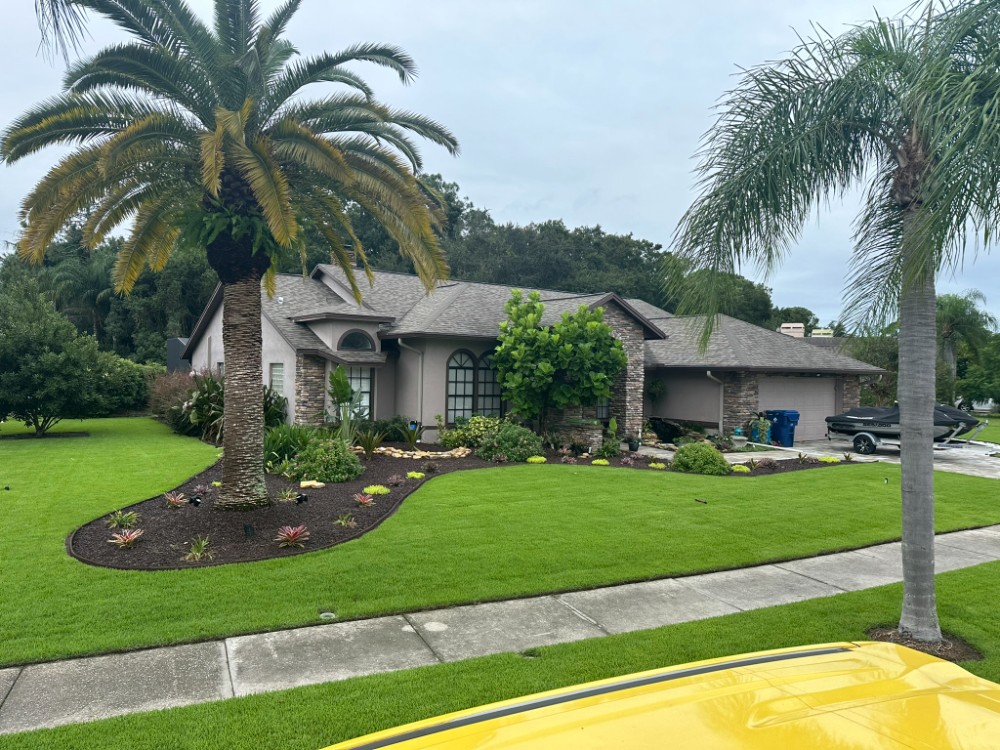 Landscape install in Tarpon Springs