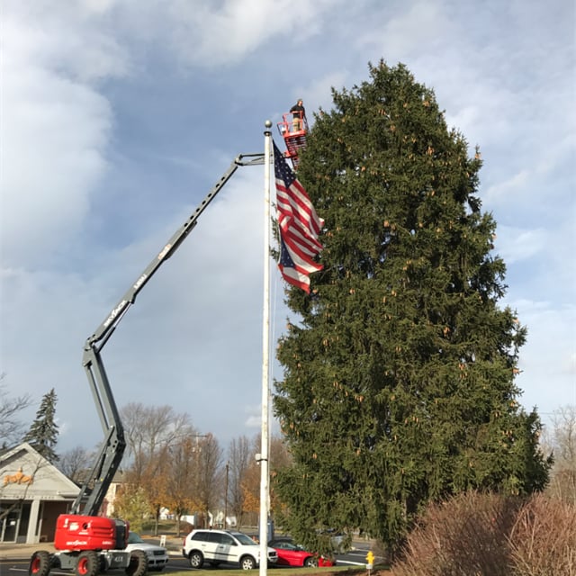 Outdoor Decorative lighting work in progress