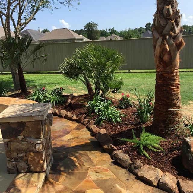 Palm trees and desert landscaping along walkway