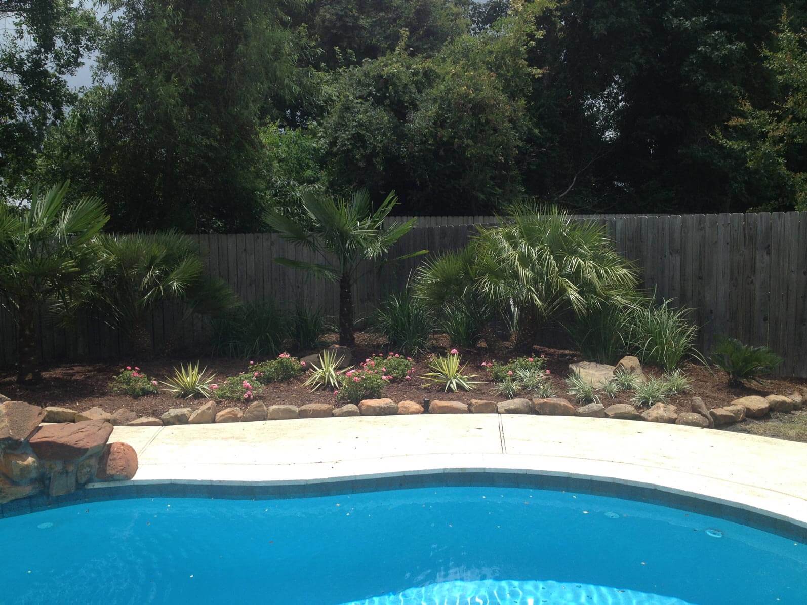 Palm trees and desert landscaping behind pool