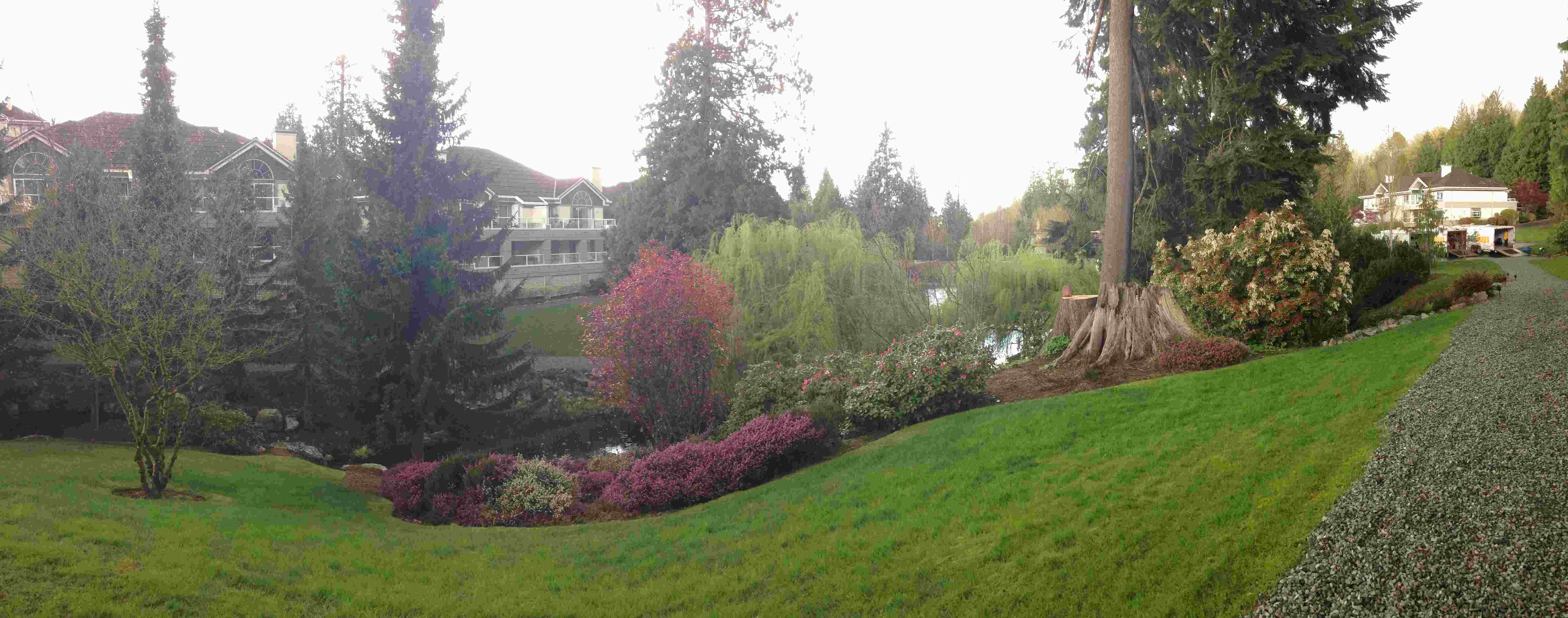Panoramic of maintained lawn