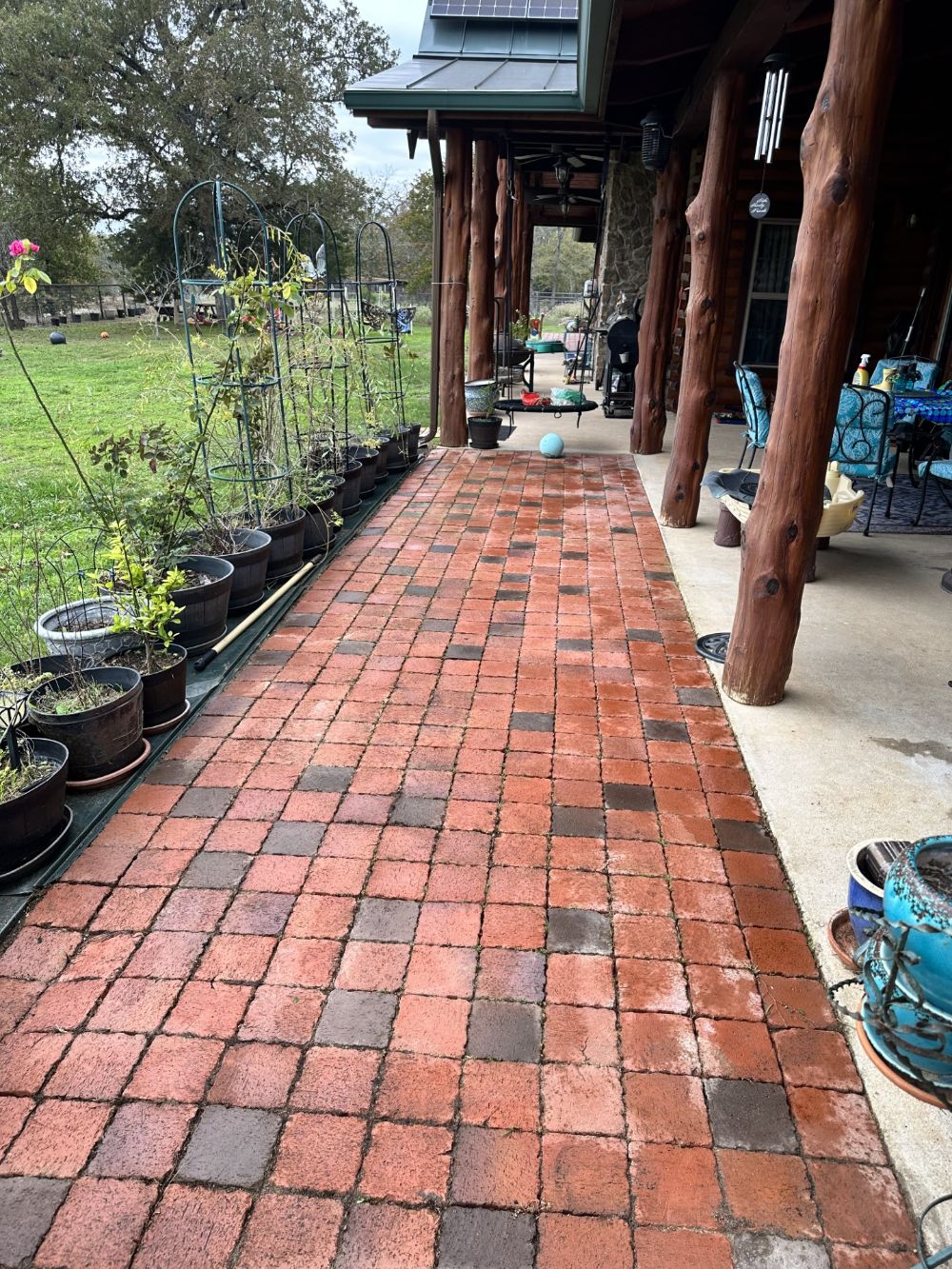 Paver Path Cleanup - After