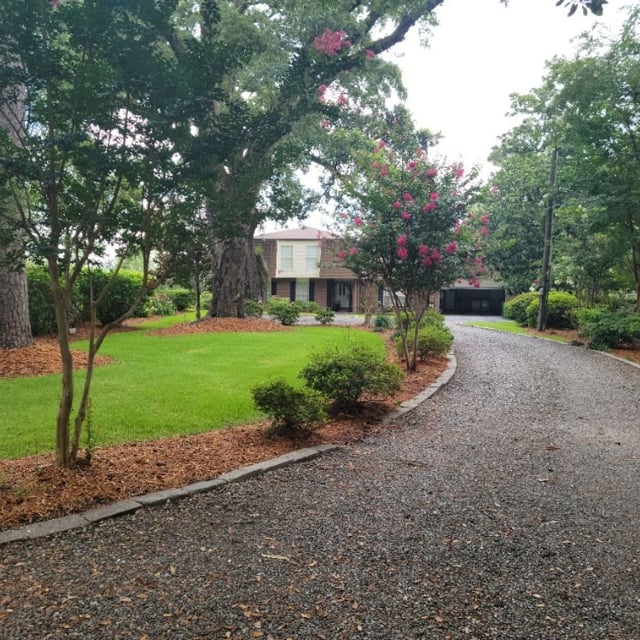 Pine straw used as mulch for flower beds