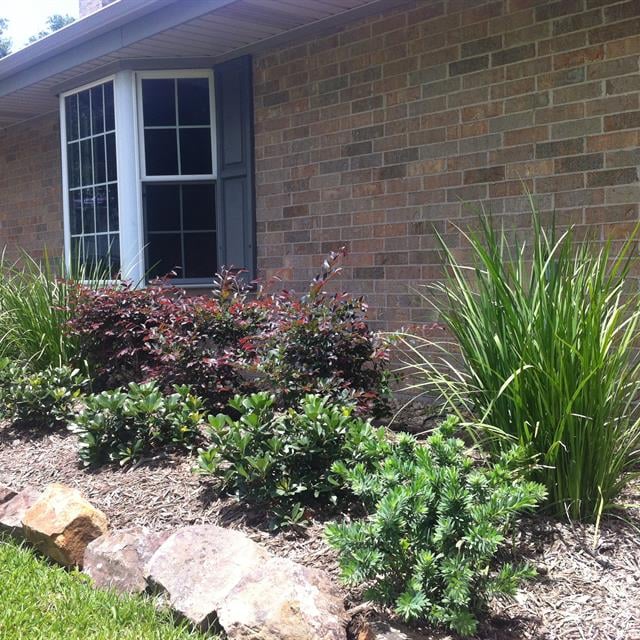 Plantation of plants in front of house
