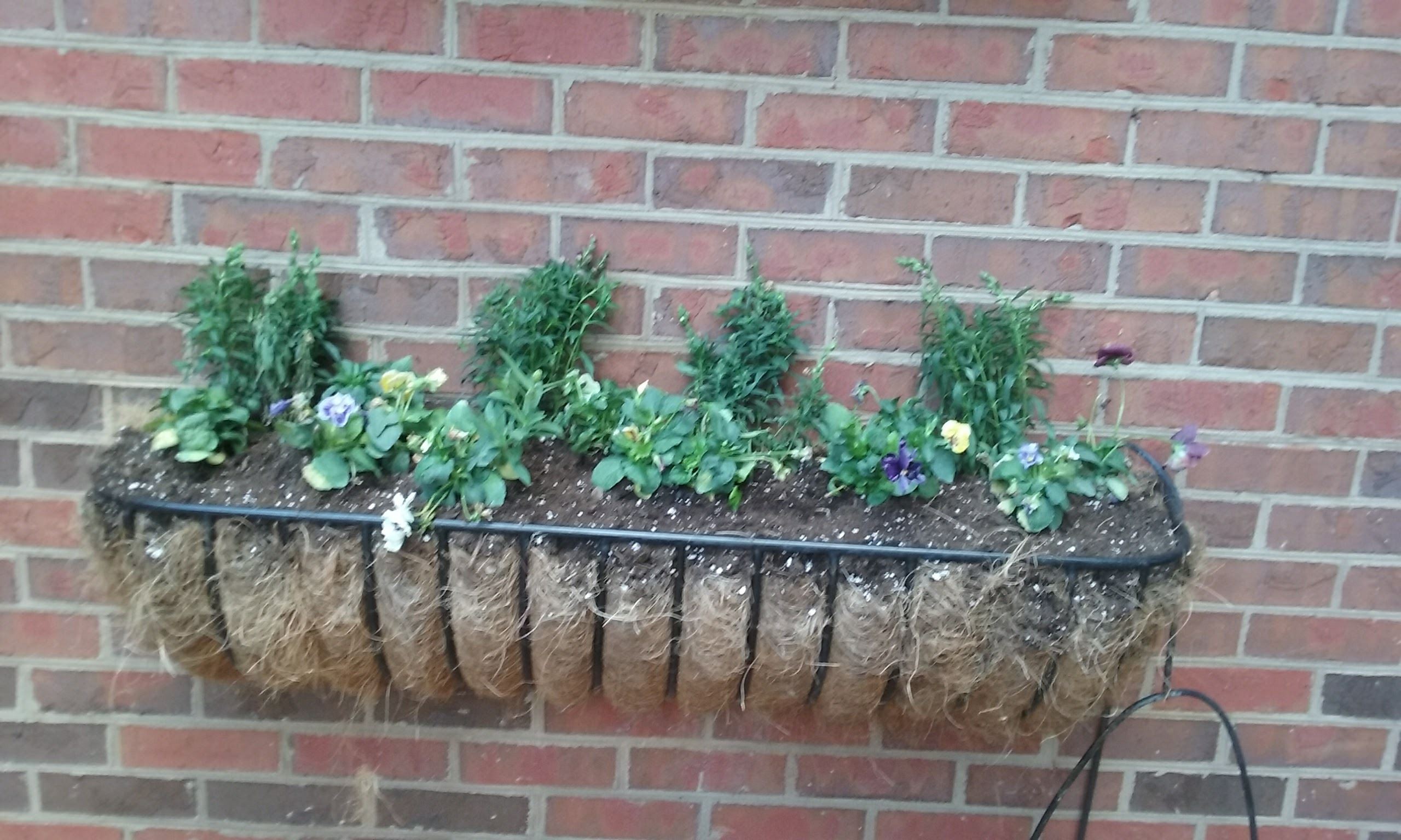 Planter mounted into brick wall