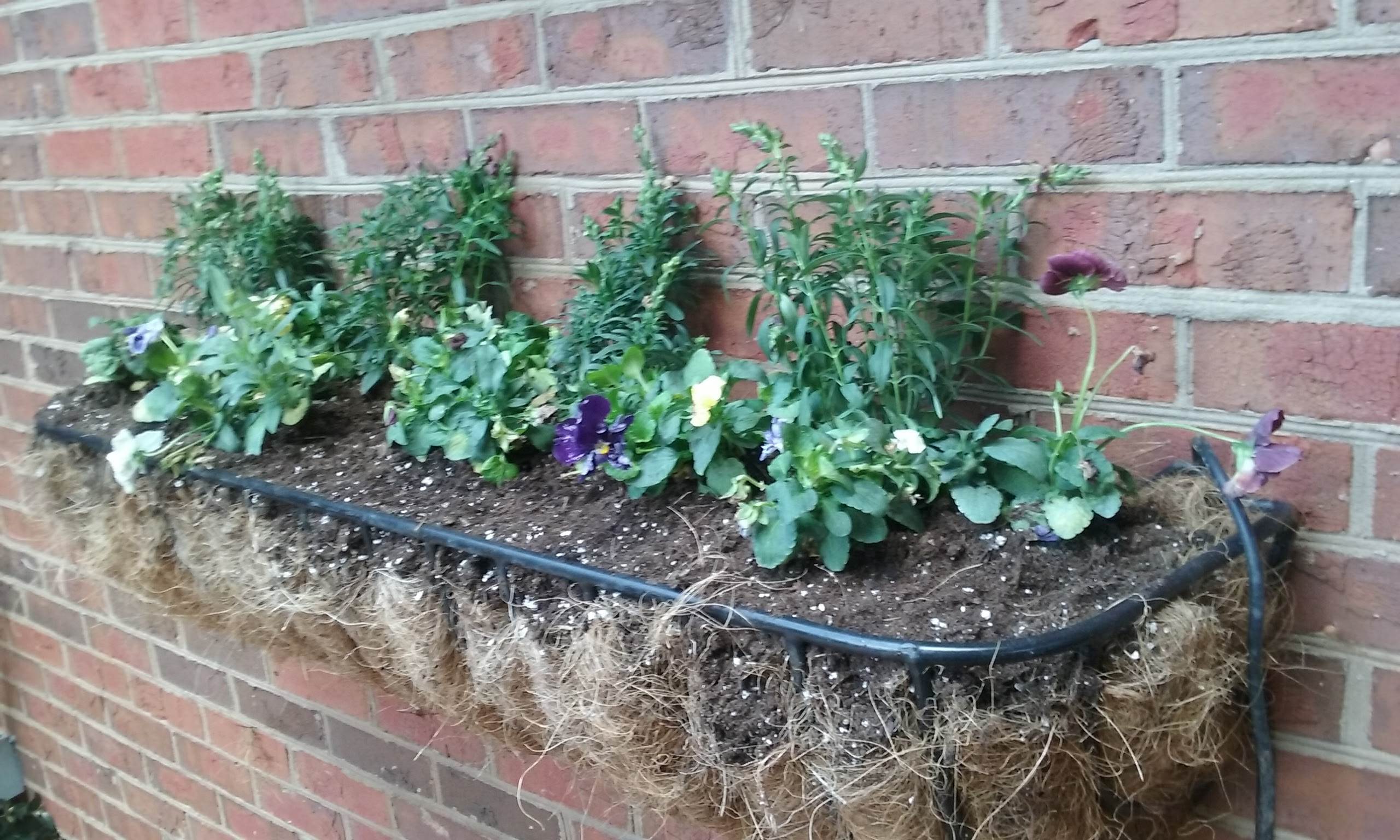 Planter mounted into brick wall