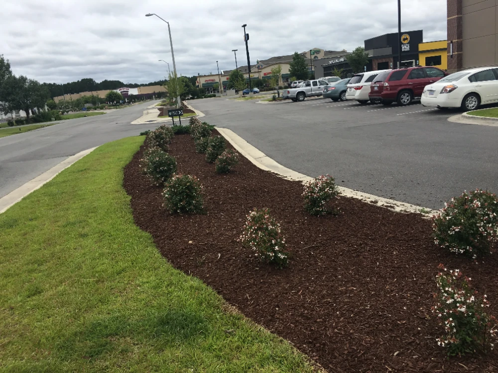 Planter next to greenery strip in middle of parking lot with cars