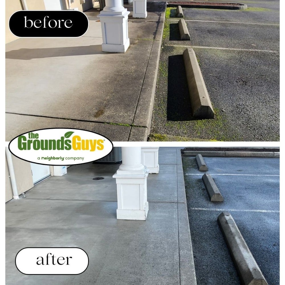 Pressure Washing Services