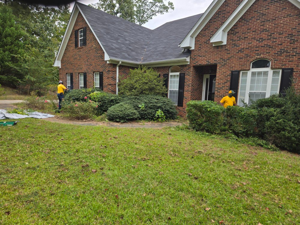 Shrub maintenance in Newnan