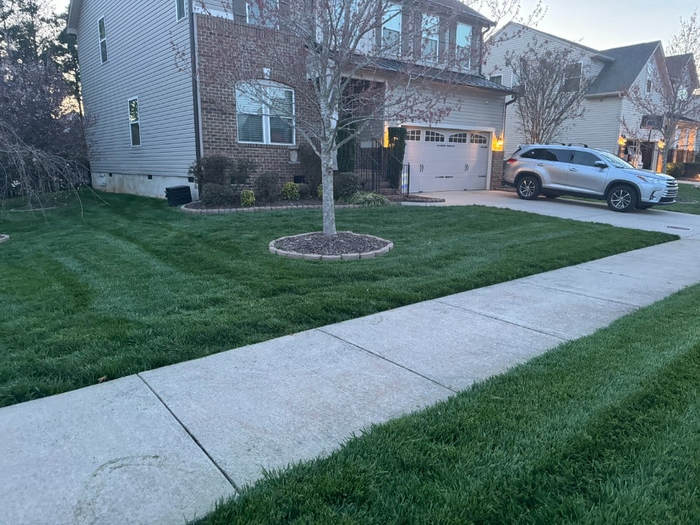 Lush green grass, freshly cut at a residential maintenance property.