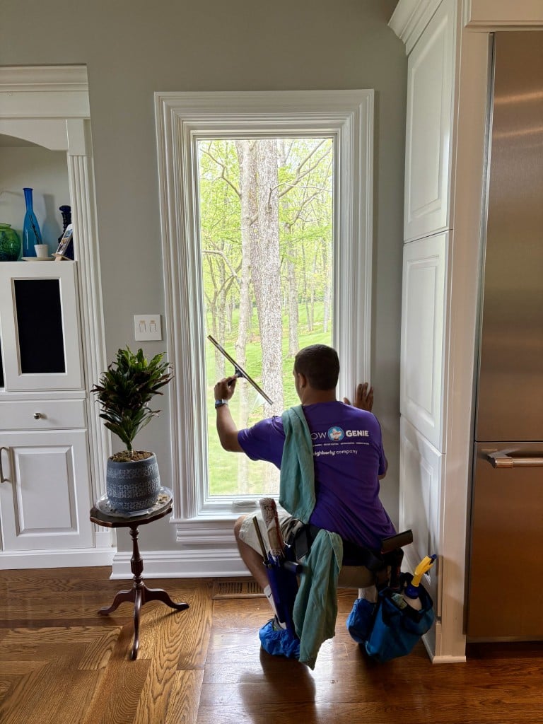Window cleaning professional cleaning residential windows