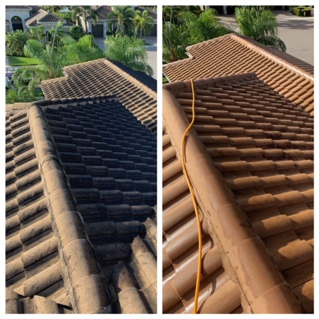 Roof Soft Wash