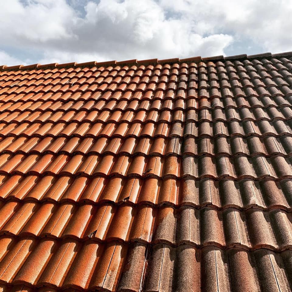 Roof Wash