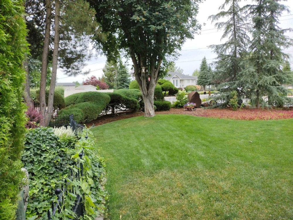 Pruned and Maintained Shrubs