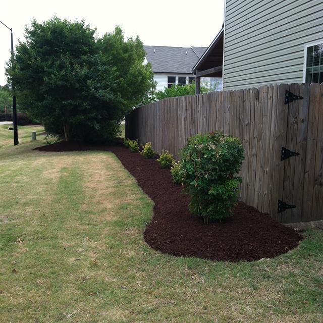 Side garden landscaping alongside a wall